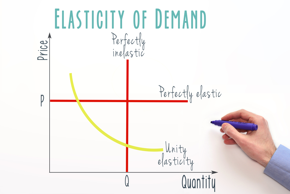 elasticidad de la demanda